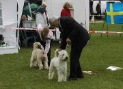 Betty und Mona Sonntag 05 Betty und Mona Sonntag 05