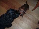 Amos und Paul Amos und Paul