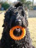 25.01.2009 11:10:39 25.01.2009 11:10:39