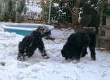 22.11.2008 08:57:57 22.11.2008 08:57:57