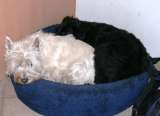Lilli und Benisha Lilli und Benisha