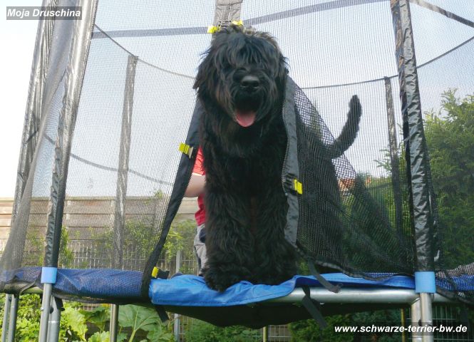 20090520_181920_Bolle
