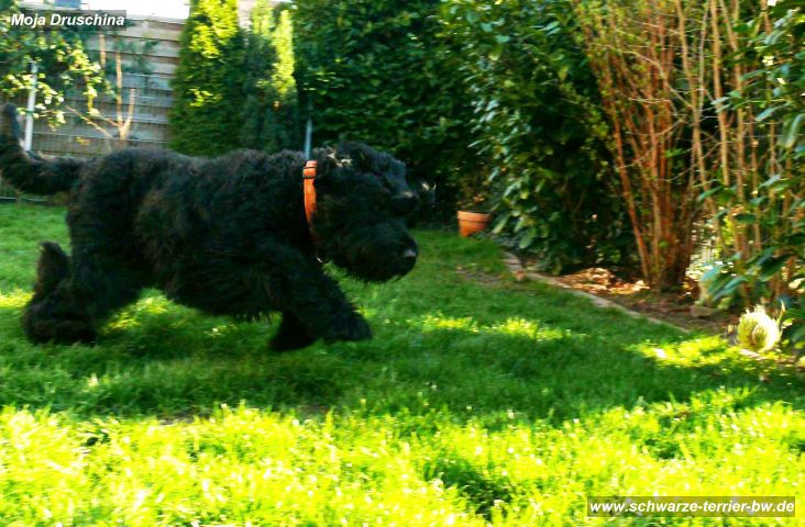 20100406_161359