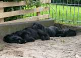 07.08.2010 14:34:14 07.08.2010 14:34:14