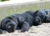 07.08.2010 18:57:58 07.08.2010 18:57:58