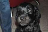 30.08.2010 17:51:08 30.08.2010 17:51:08
