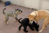 Maggie, Catinka und Sam Maggie, Catinka und Sam