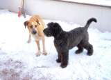 Sam und Catinka Sam und Catinka