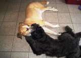Sam und Catinka Sam und Catinka
