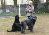 Djinie, Catinka und Andrea Djinie, Catinka und Andrea