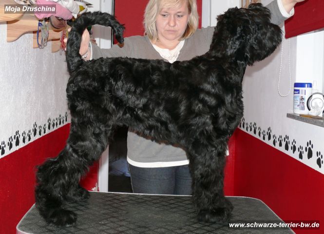 20101110_222810