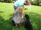 In der Hundeschule