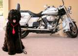 Oppi mit Motorrad