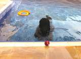 ... ein Ball....