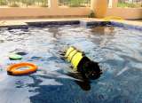 Der Prinz beim baden...