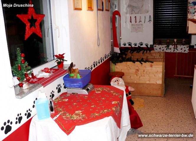 20111127_201407